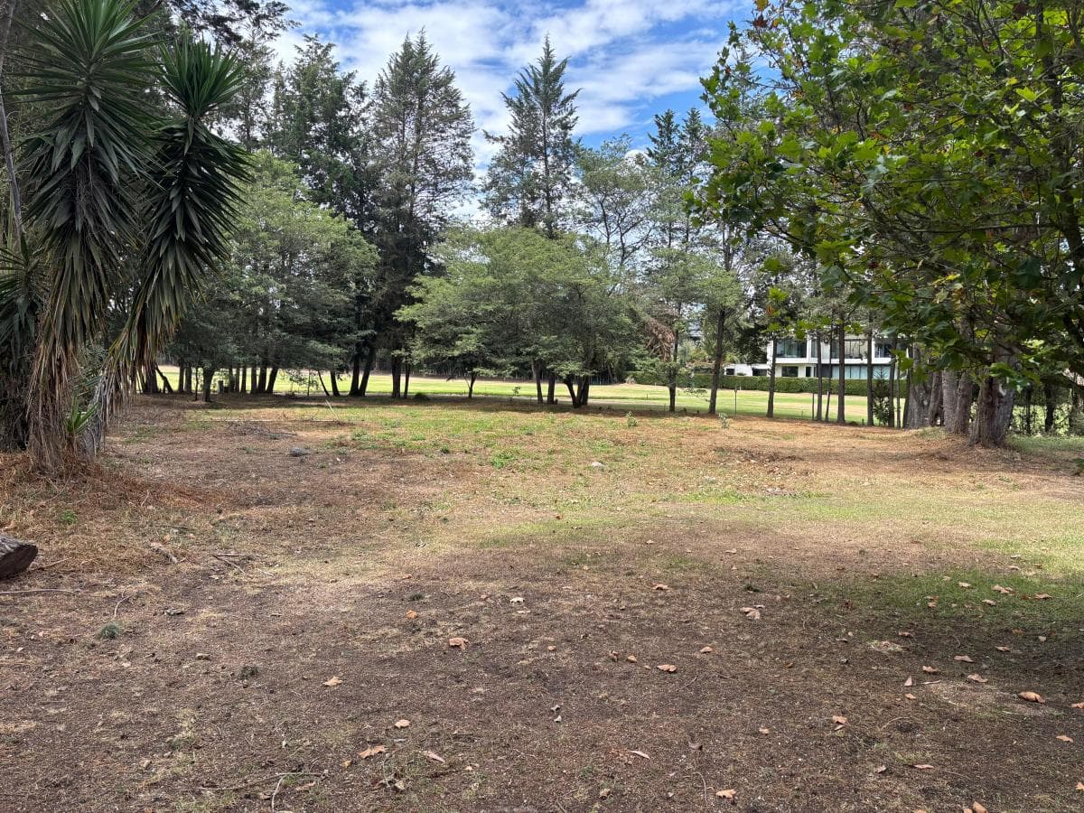 Terreno en Arrayanes Country Club - Precio Negociable — imagen 7