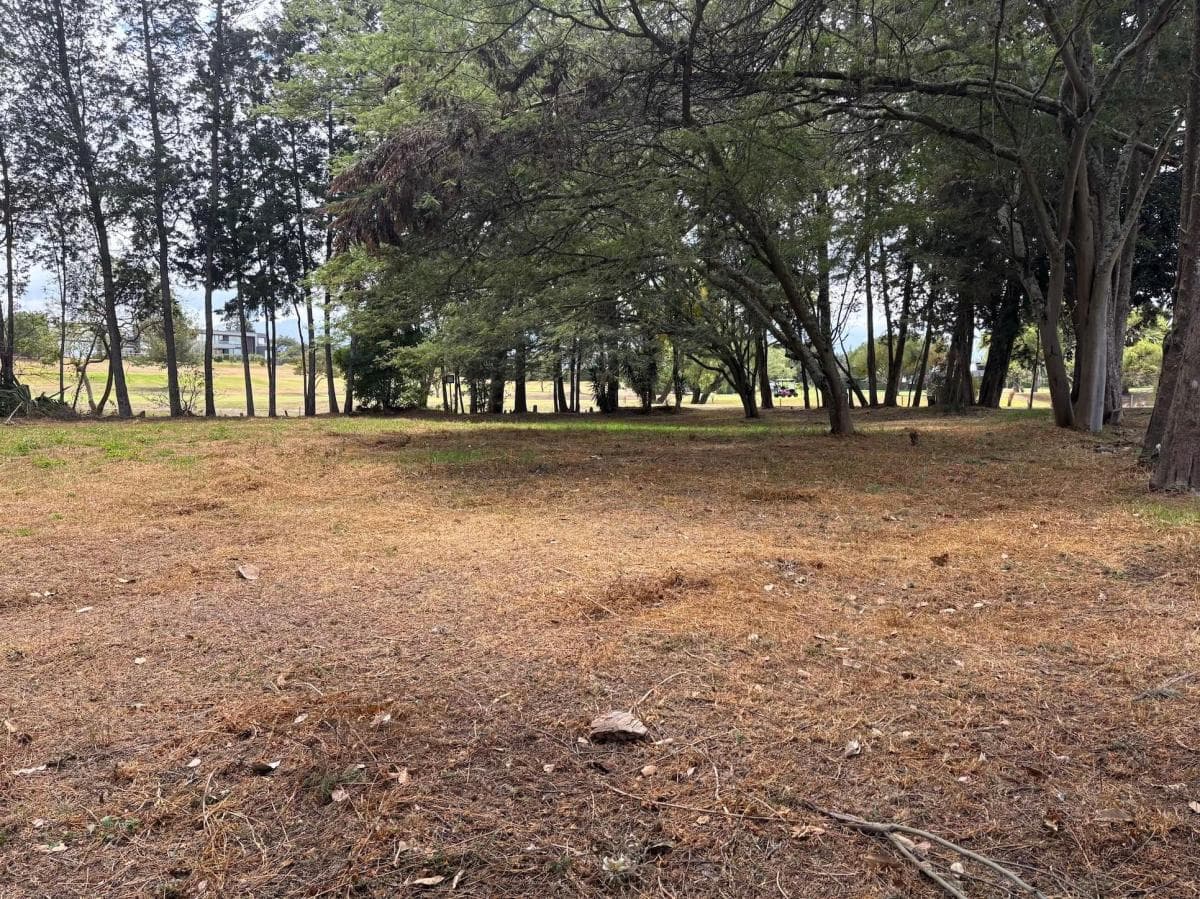 Terreno en Arrayanes Country Club - Precio Negociable — imagen 6
