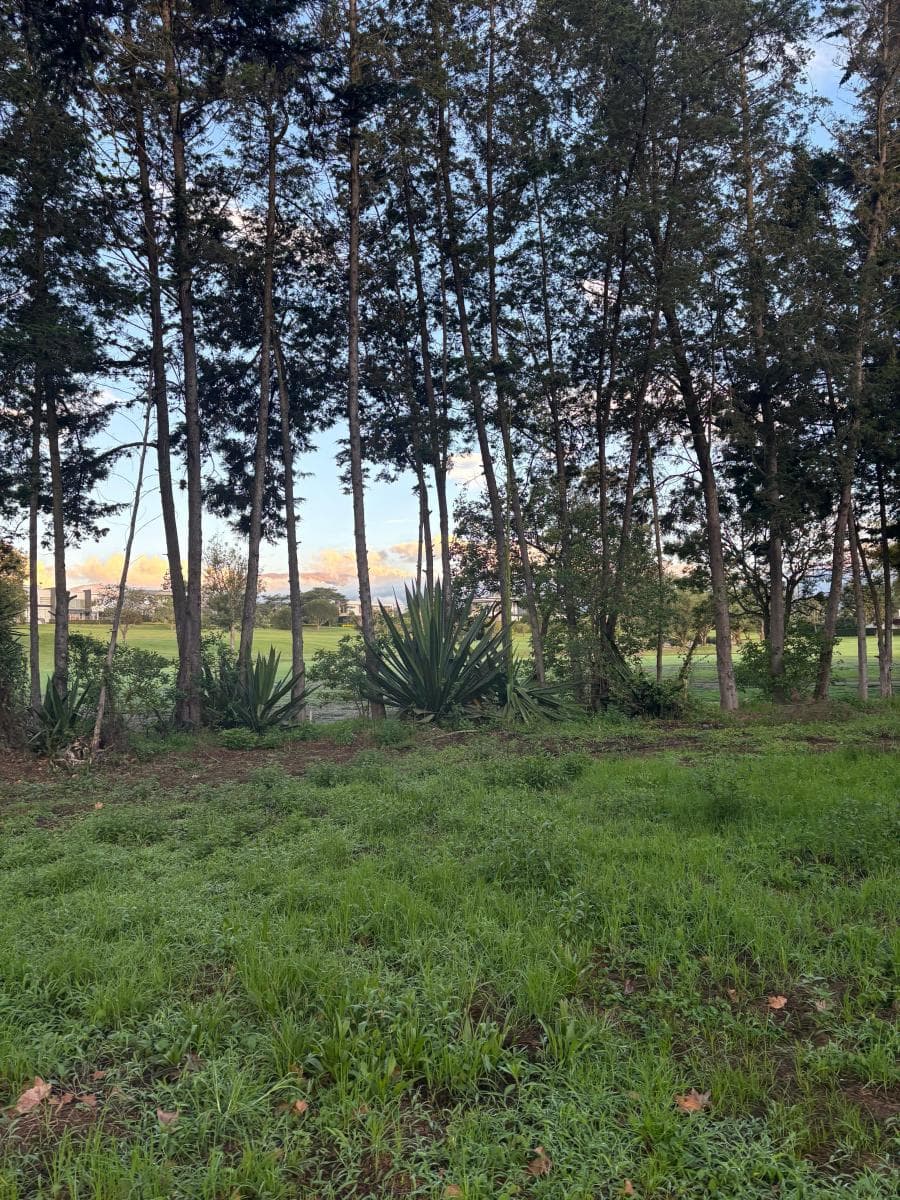 Terreno en Arrayanes Country Club - Precio Negociable — imagen 2