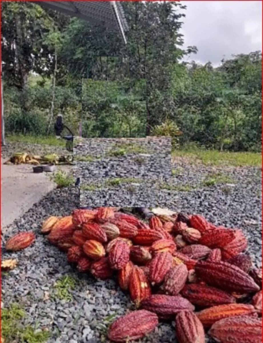 Quita 1 Hectárea San Bernabe - San Miguel de Los Bancos — imagen 1