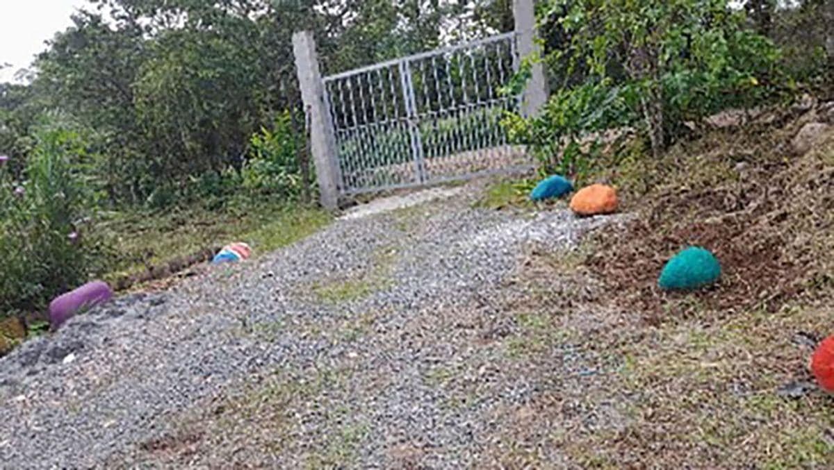 Quita 1 Hectárea San Bernabe - San Miguel de Los Bancos — imagen 10