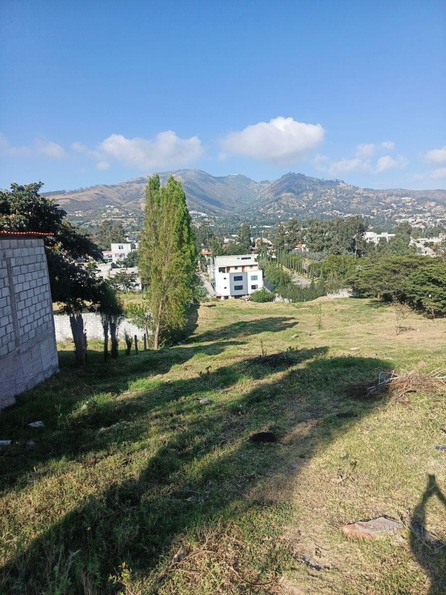Vendo Lindo Terreno en Tumbaco Sector La Morita — imagen 1