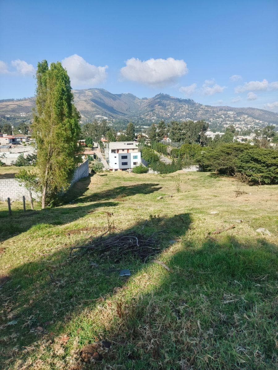 Vendo Lindo Terreno en Tumbaco Sector La Morita — imagen 8