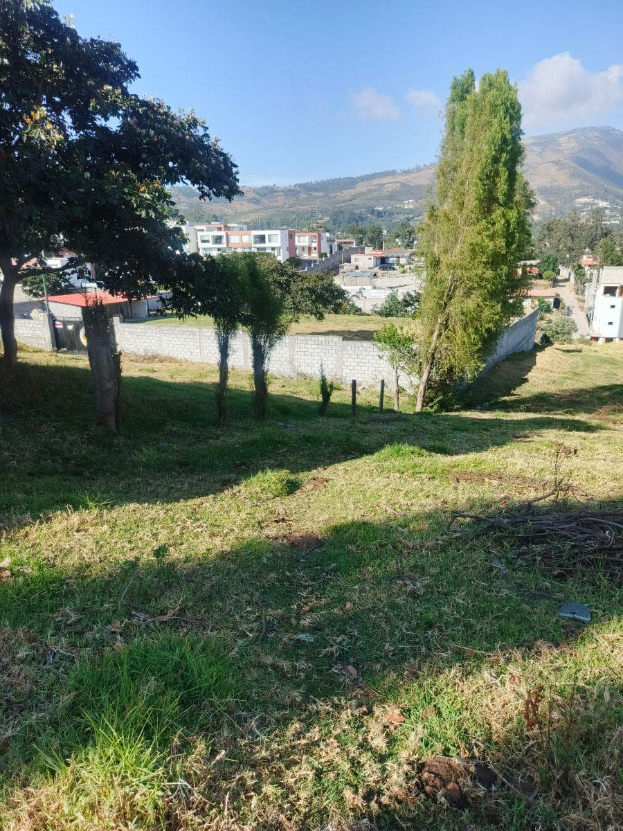Vendo Lindo Terreno en Tumbaco Sector La Morita — imagen 2