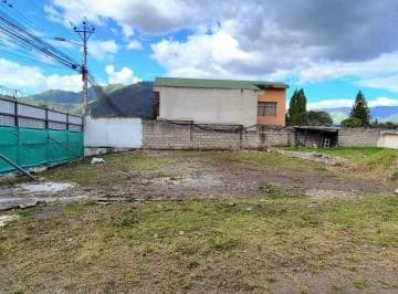 Terreno en Renta en La Armenia — imagen 3