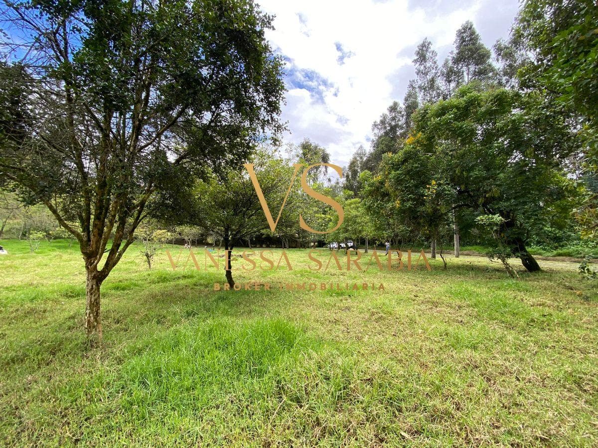 Vendo Terreno Valle de Los Chillos en Urbanización Exclusiva — imagen 6