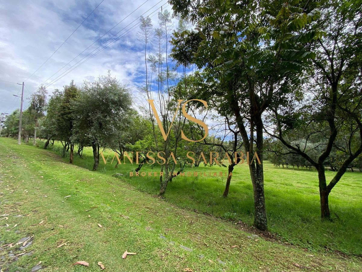 Vendo Terreno Valle de Los Chillos en Urbanización Exclusiva — imagen 5