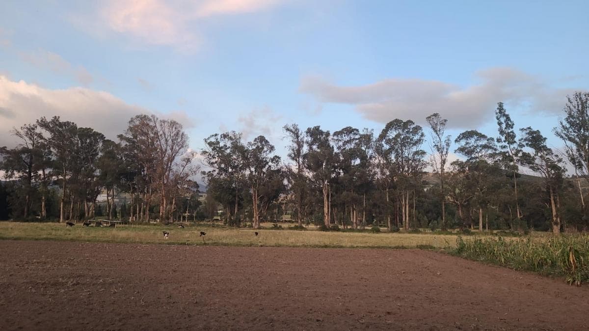 Cayambe - Terreno en Venta - Sector Geodésico Mitad del Mundo — imagen 7