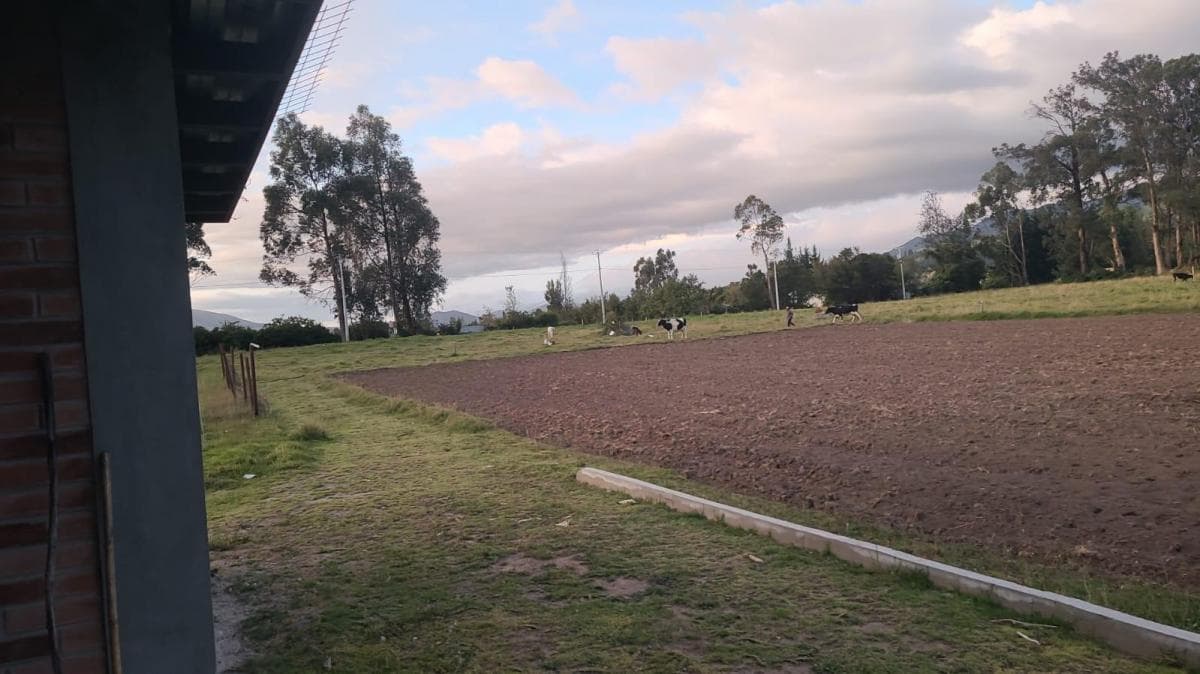 Cayambe - Terreno en Venta - Sector Geodésico Mitad del Mundo — imagen 6