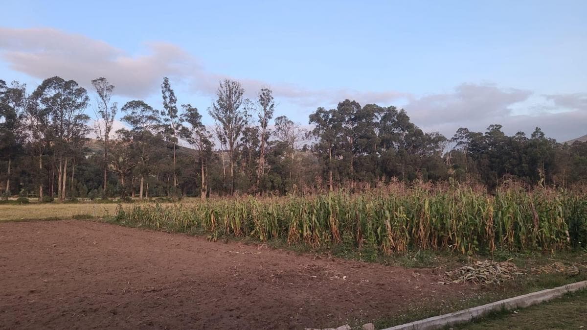 Cayambe - Terreno en Venta - Sector Geodésico Mitad del Mundo — imagen 5