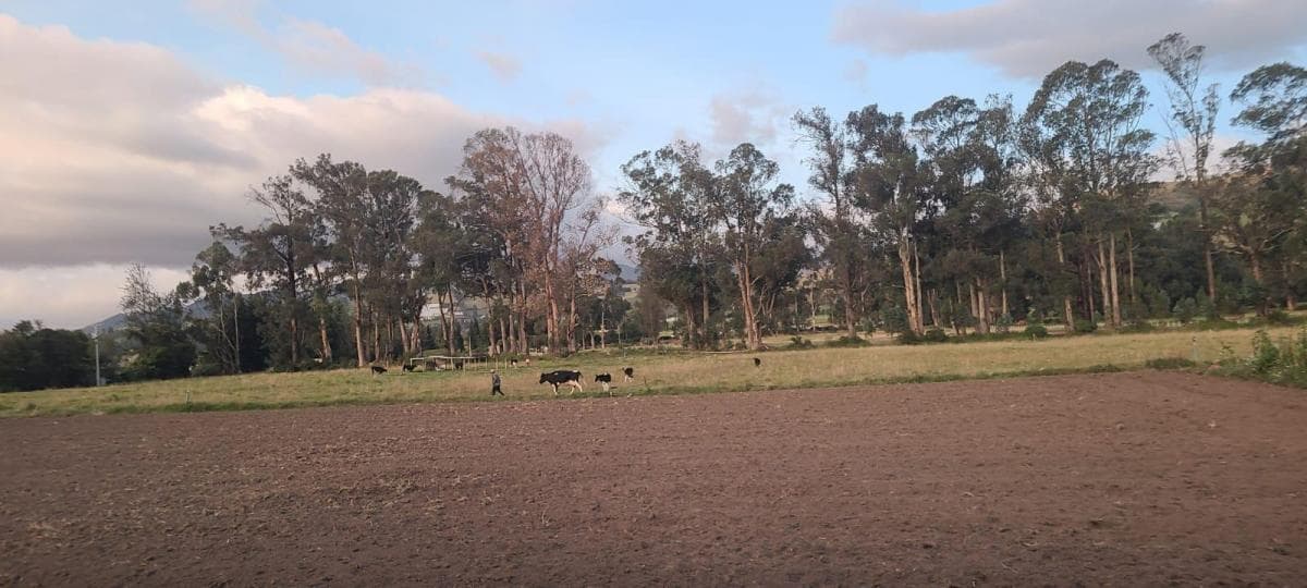 Cayambe - Terreno en Venta - Sector Geodésico Mitad del Mundo — imagen 3