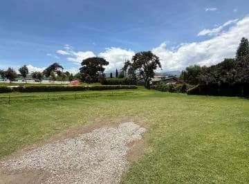 Terreno en Tumbaco — imagen 3