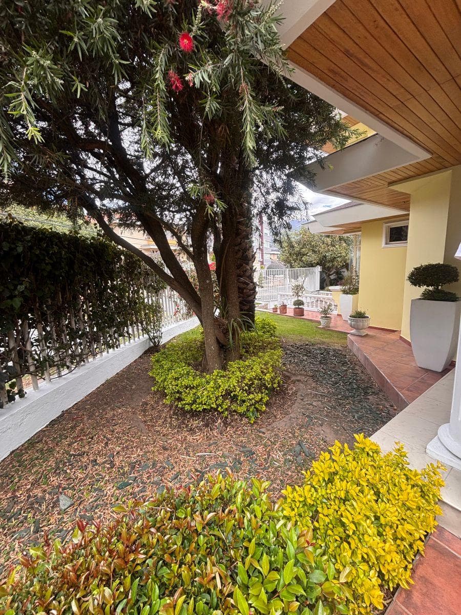 Vendo Linda Casa Balcón del Norte, Urbanización Cerrada Full Seguridad 4 Dorm. 507 m Const — imagen 10