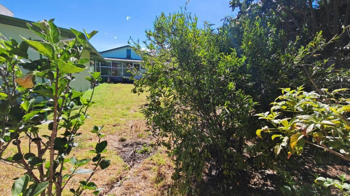 Casa con Terreno Independiente La Morita 650 m² — imagen 4