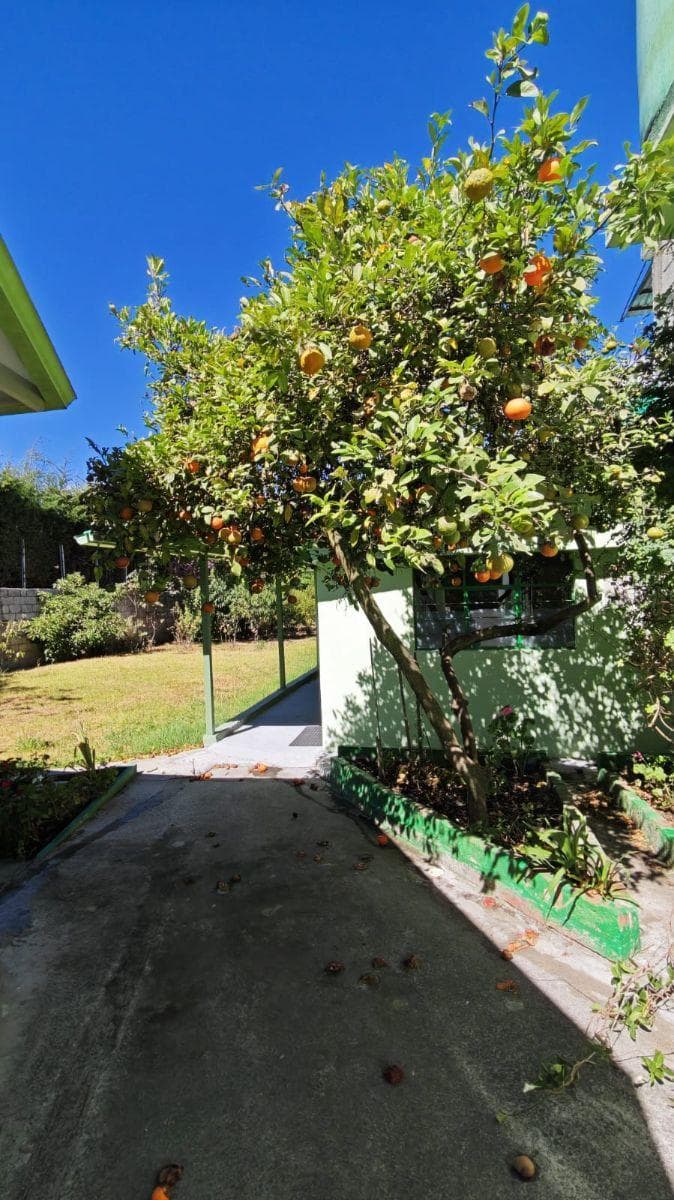 Casa con Terreno Independiente La Morita 650 m² — imagen 3