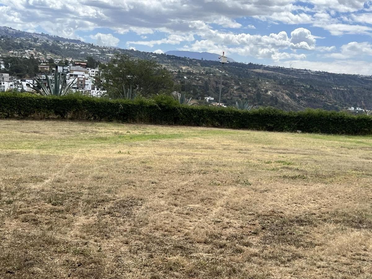 Venta Terreno en Cumbaya en Urbanización Exclusiva — imagen 8