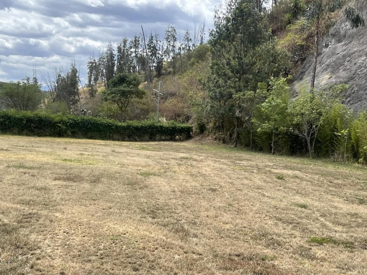 Venta Terreno en Cumbaya en Urbanización Exclusiva — imagen 7
