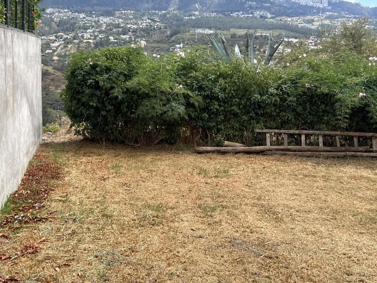 Venta Terreno en Cumbaya en Urbanización Exclusiva — imagen 6