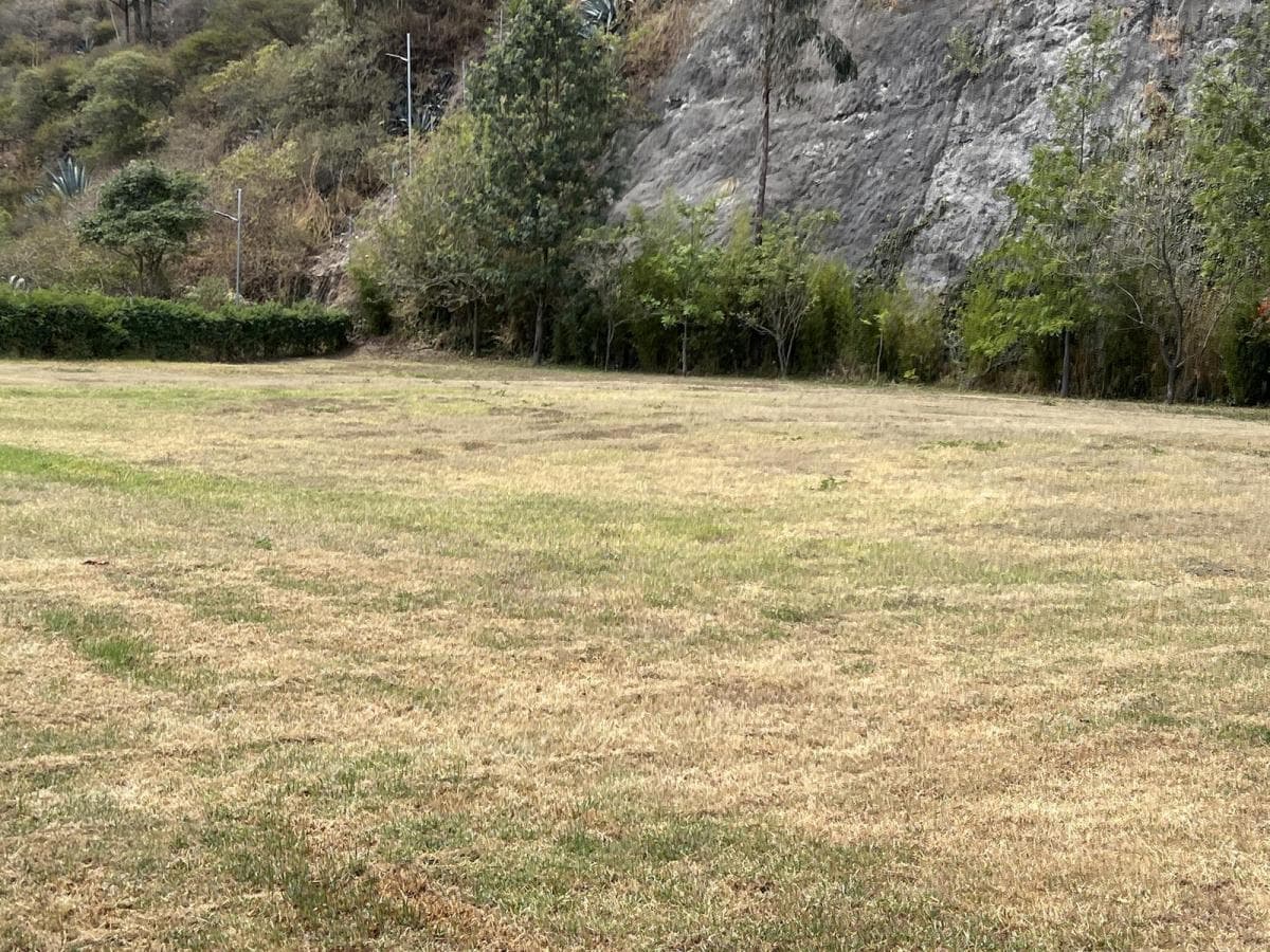 Venta Terreno en Cumbaya en Urbanización Exclusiva — imagen 4
