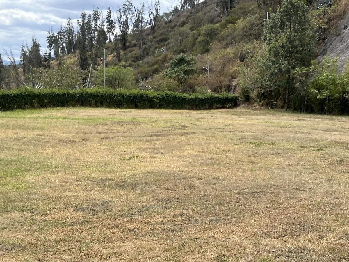 Venta Terreno en Cumbaya en Urbanización Exclusiva — imagen 2