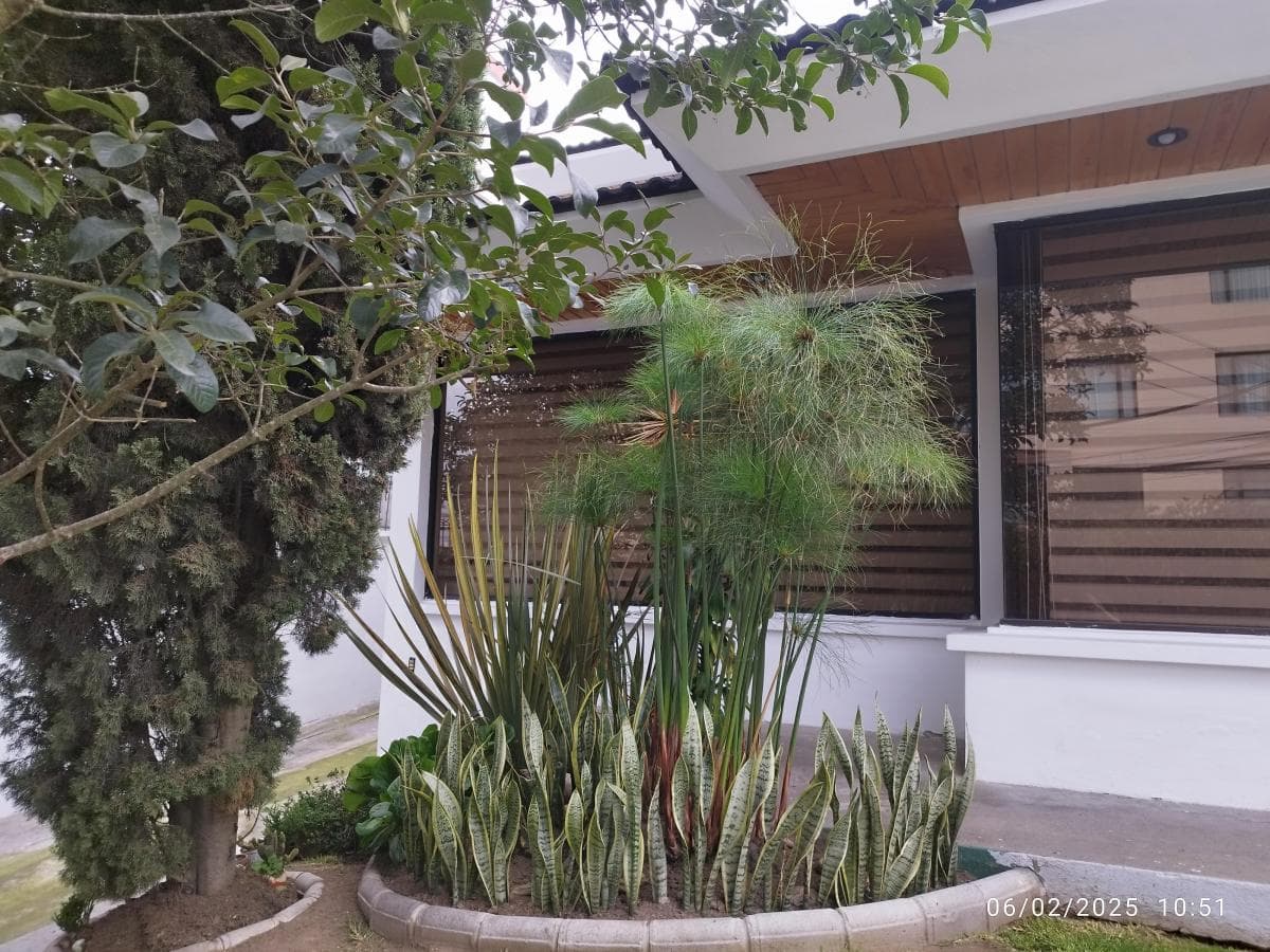 Casa de Venta 4 Dorm. Ponceano375 Quito — imagen 8