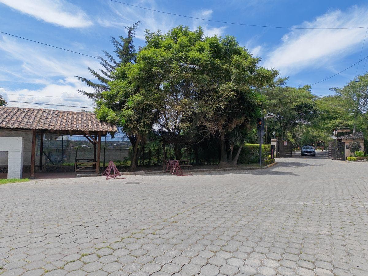 Las Peñas, Urb. Privada, Cerca Hilarcril, Lindo Lote 1363 m Hermosa Vista $185 C/m² o Permuta. Provincia de Pichincha — imagen 9