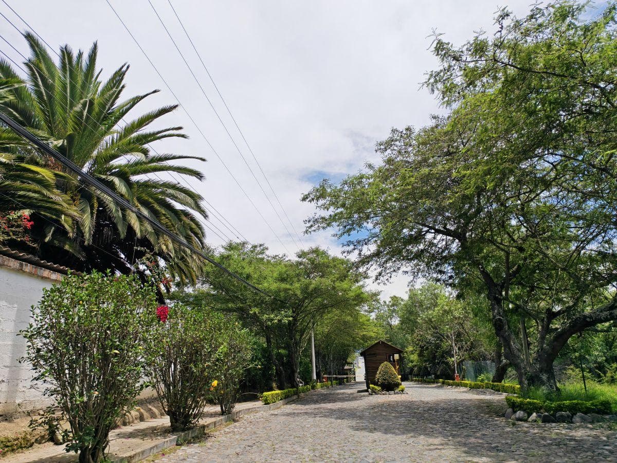 Las Peñas, Urb. Privada, Cerca Hilarcril, Lindo Lote 1363 m Hermosa Vista $185 C/m² o Permuta. Provincia de Pichincha — imagen 5