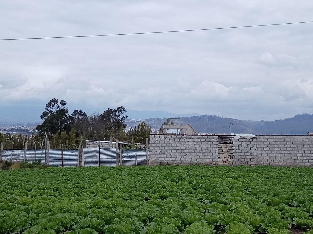 Terreno Plano de 875 m en El Sector Izamba. Tungurahua — imagen 6