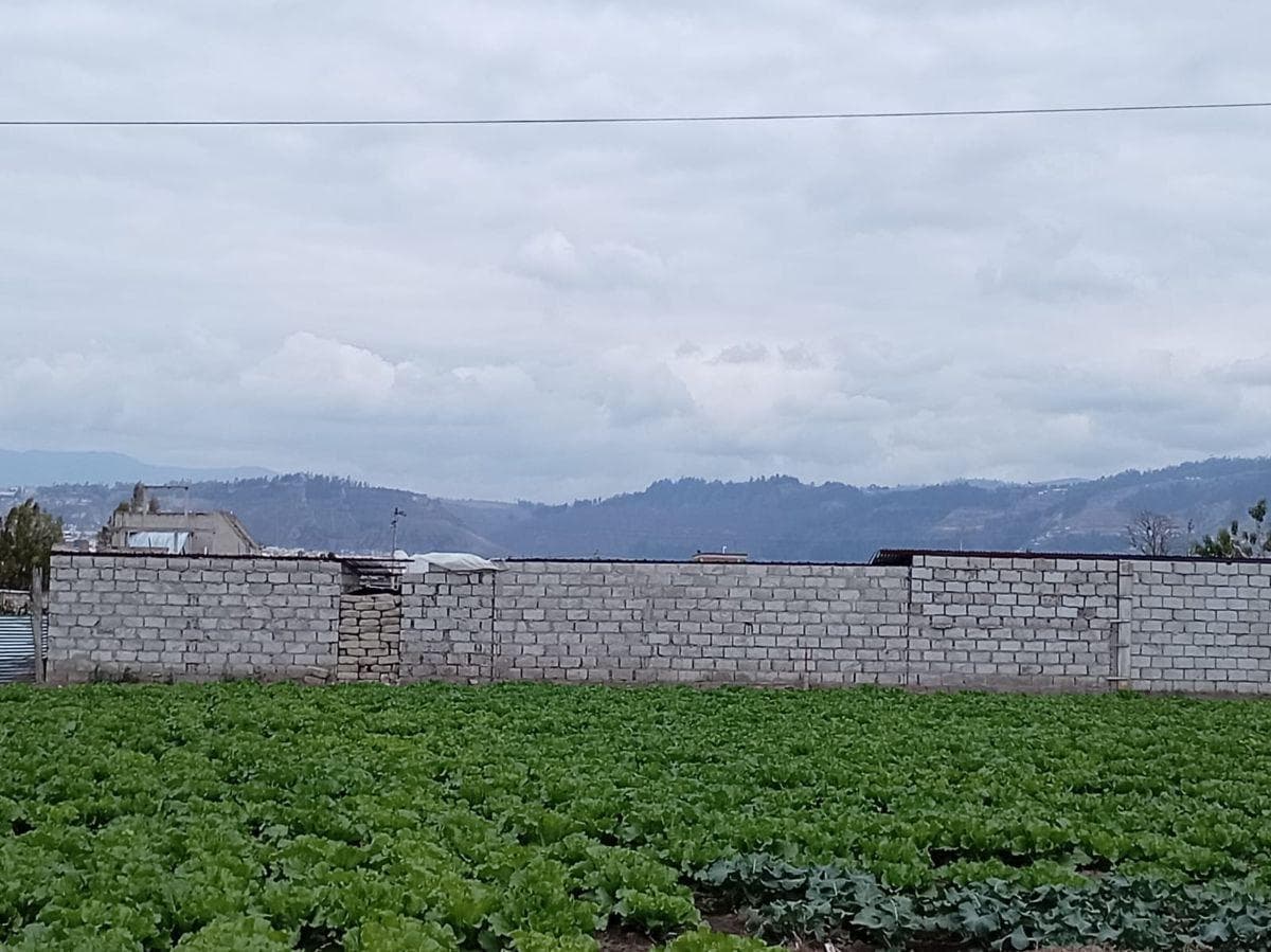 Terreno Plano de 875 m en El Sector Izamba. Tungurahua — imagen 5