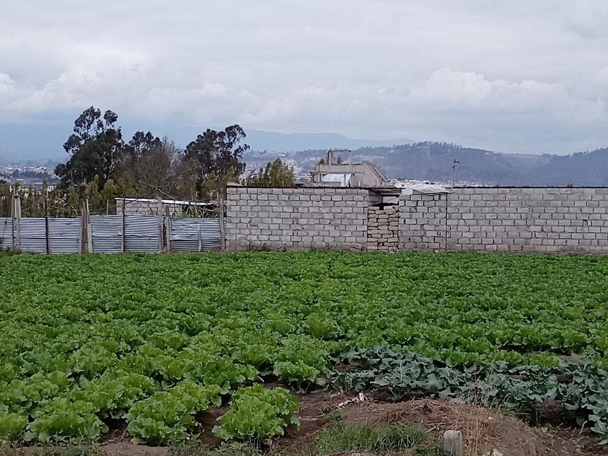 Terreno Plano de 875 m en El Sector Izamba. Tungurahua — imagen 4