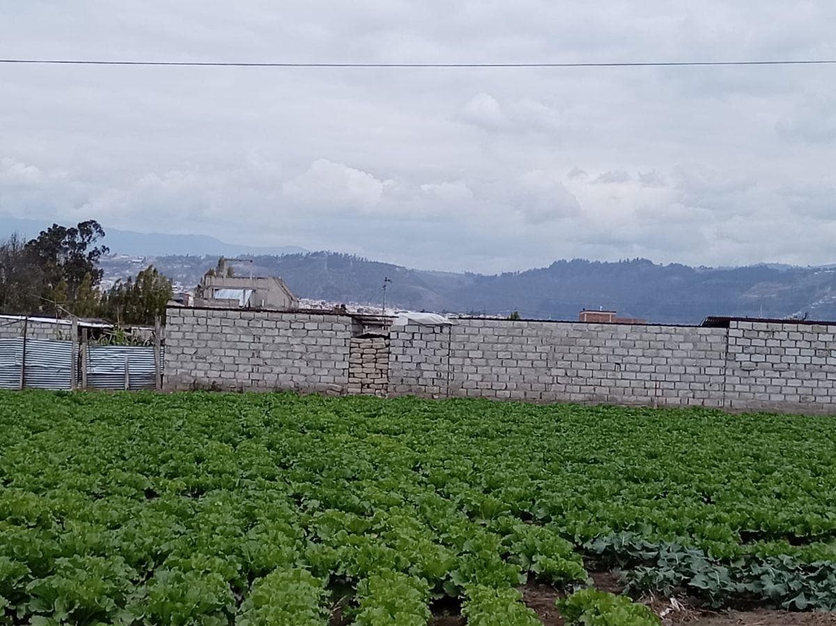 Terreno Plano de 875 m en El Sector Izamba. Tungurahua — imagen 3