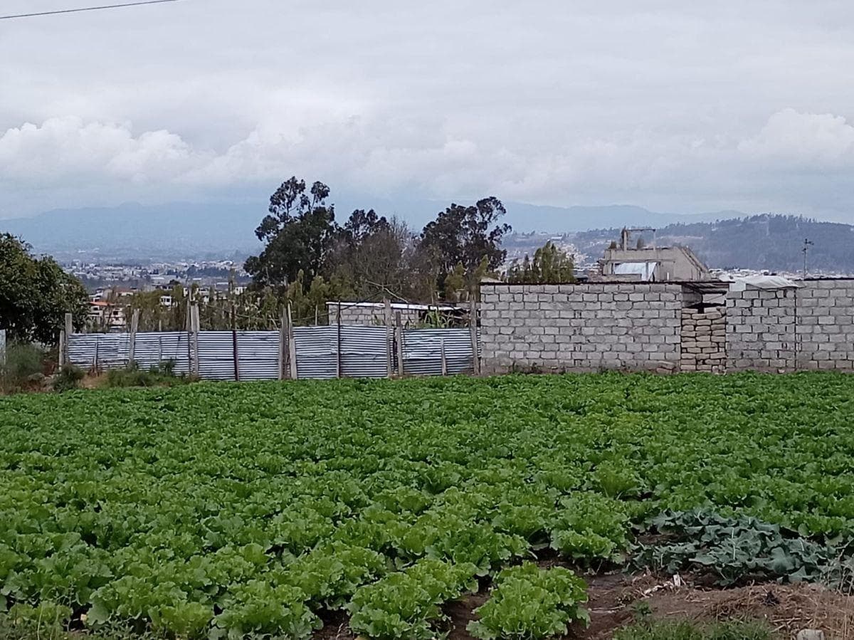 Terreno Plano de 875 m en El Sector Izamba. Tungurahua — imagen 2