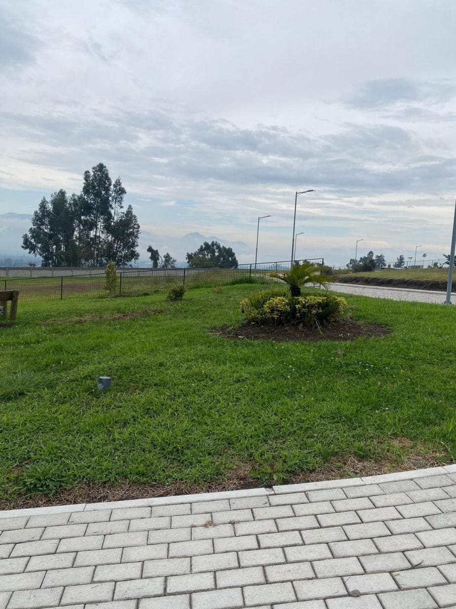 De Venta Hermoso Terreno (Checa) — imagen 6