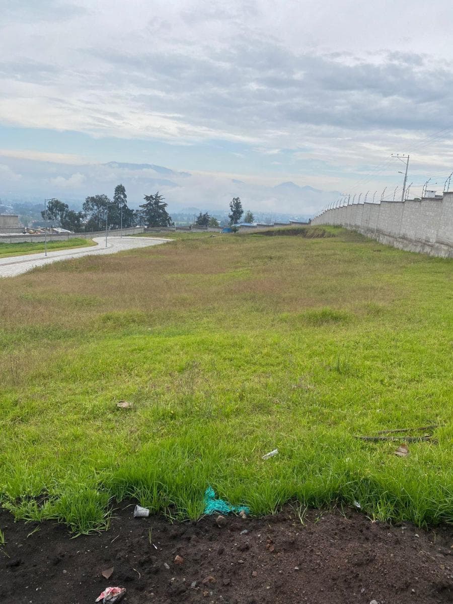De Venta Hermoso Terreno (Checa) — imagen 2