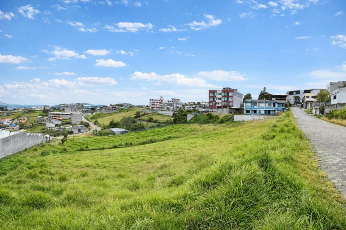 Terreno de 2583 m² en Venta en La Argelia, Plusvalía Garantizada — imagen 5