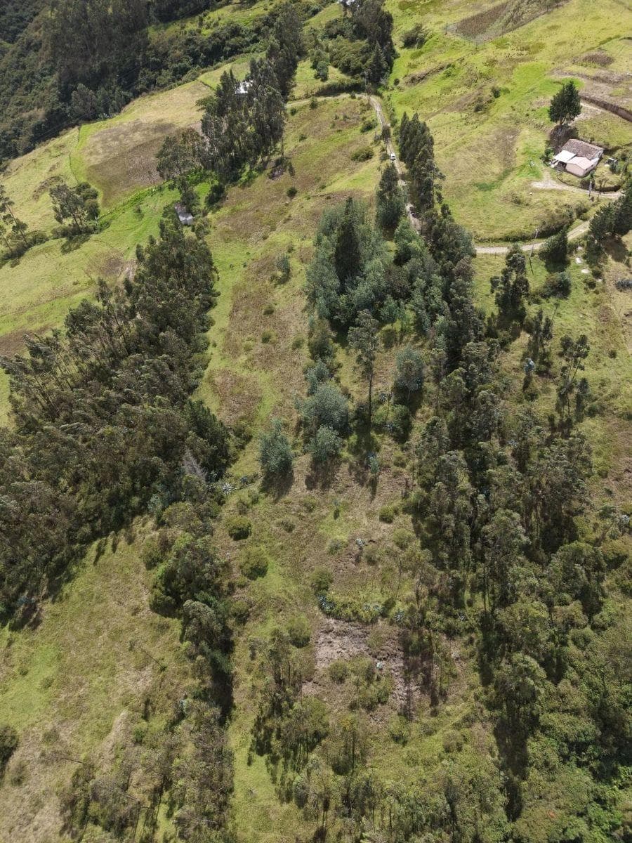 Terreno en Venta 3.9 Ha El Inga - Pifo - Pichincha — imagen 1