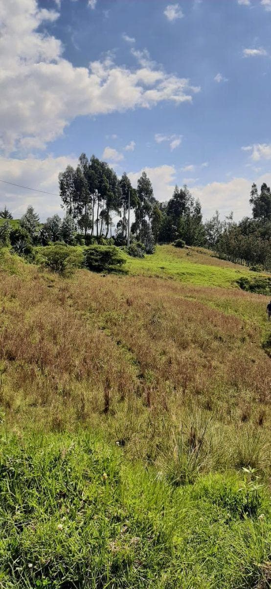Terreno en Venta 3.9 Ha El Inga - Pifo - Pichincha — imagen 3