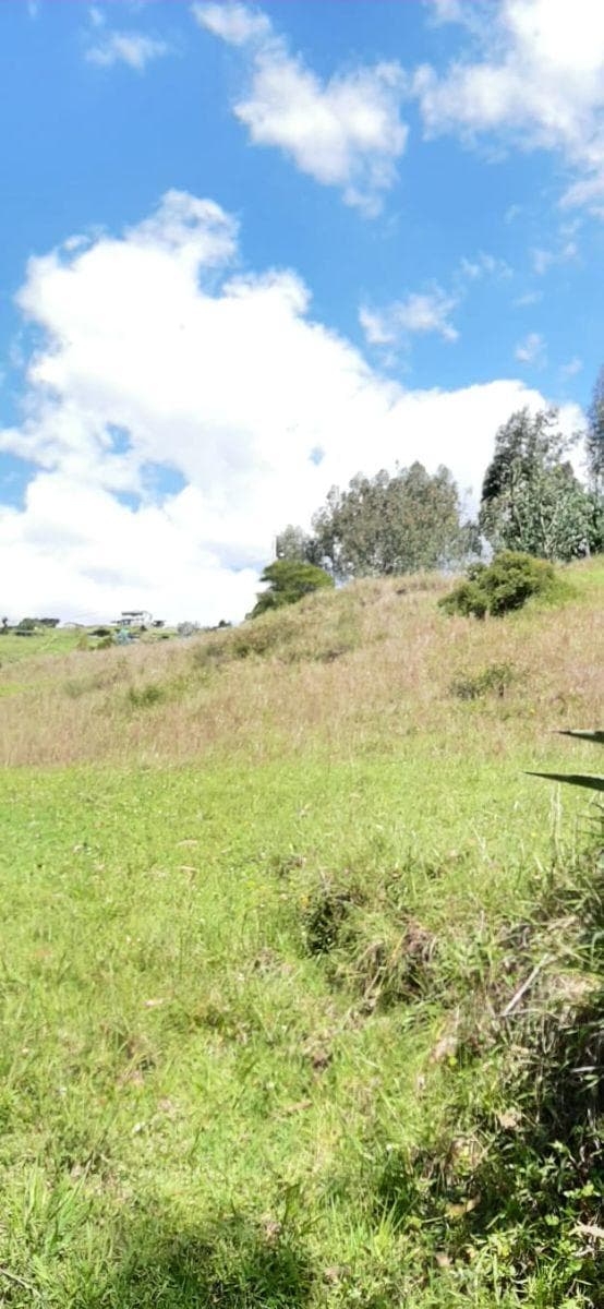 Terreno en Venta 3.9 Ha El Inga - Pifo - Pichincha — imagen 2