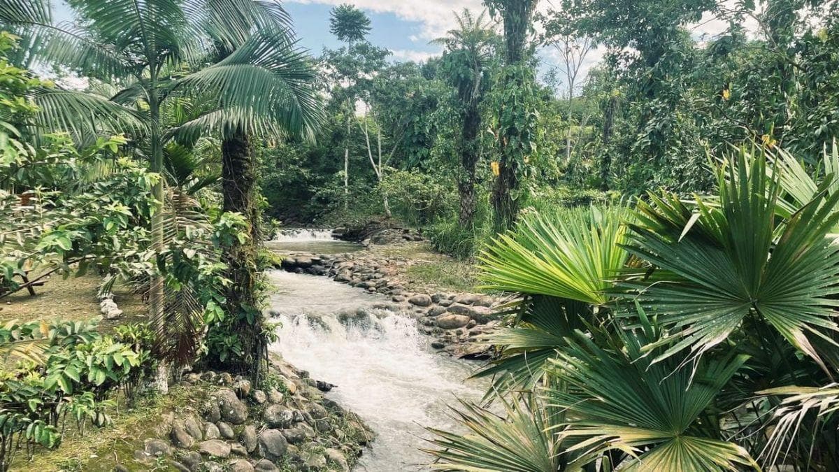 En Venta Terreno 643 m Puerto Quito Dentro de Urbanizacion Privada — imagen 4