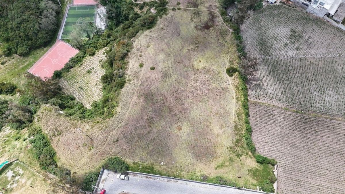 Oportunidad Venta de Macrolote Centro de Calacali — imagen 6