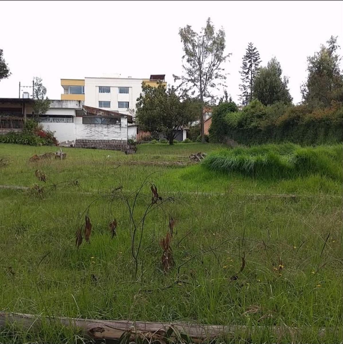 Vendo 2960 m, en Las Bromelias, Monteserrkn Para Proyecto Inmobiliario. Provincia de Pichincha — imagen 10