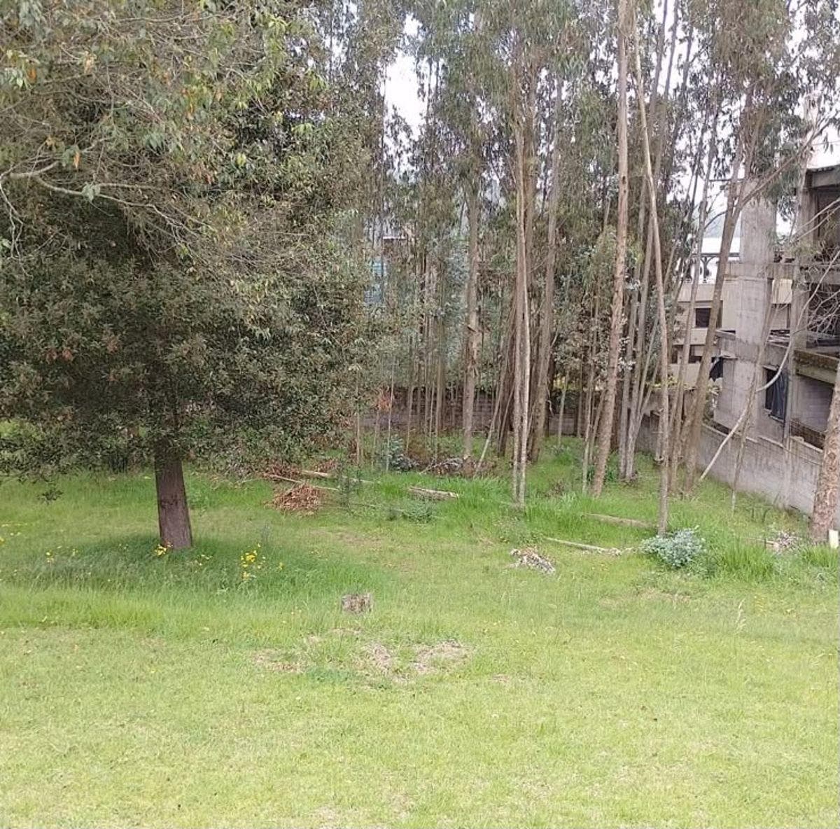 Vendo 2960 m, en Las Bromelias, Monteserrkn Para Proyecto Inmobiliario. Provincia de Pichincha — imagen 6
