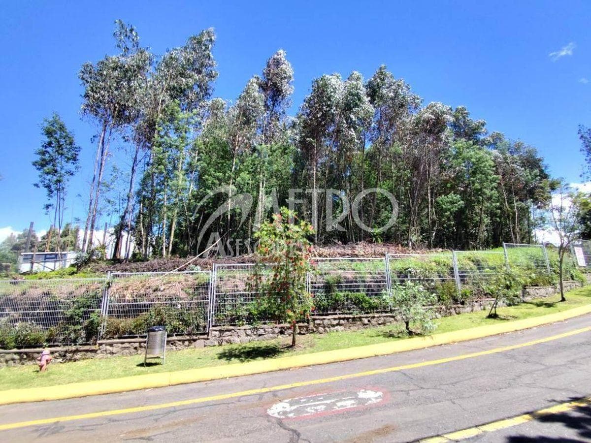 Terreno de 3.173 m² en Venta Dentro de La Urbanización Campo Alegre — imagen 1