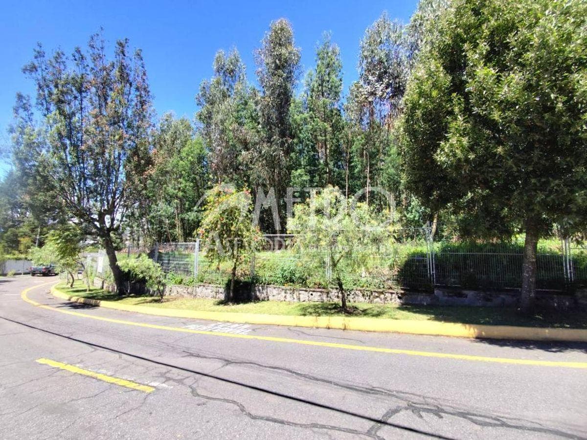 Terreno de 3.173 m² en Venta Dentro de La Urbanización Campo Alegre — imagen 6