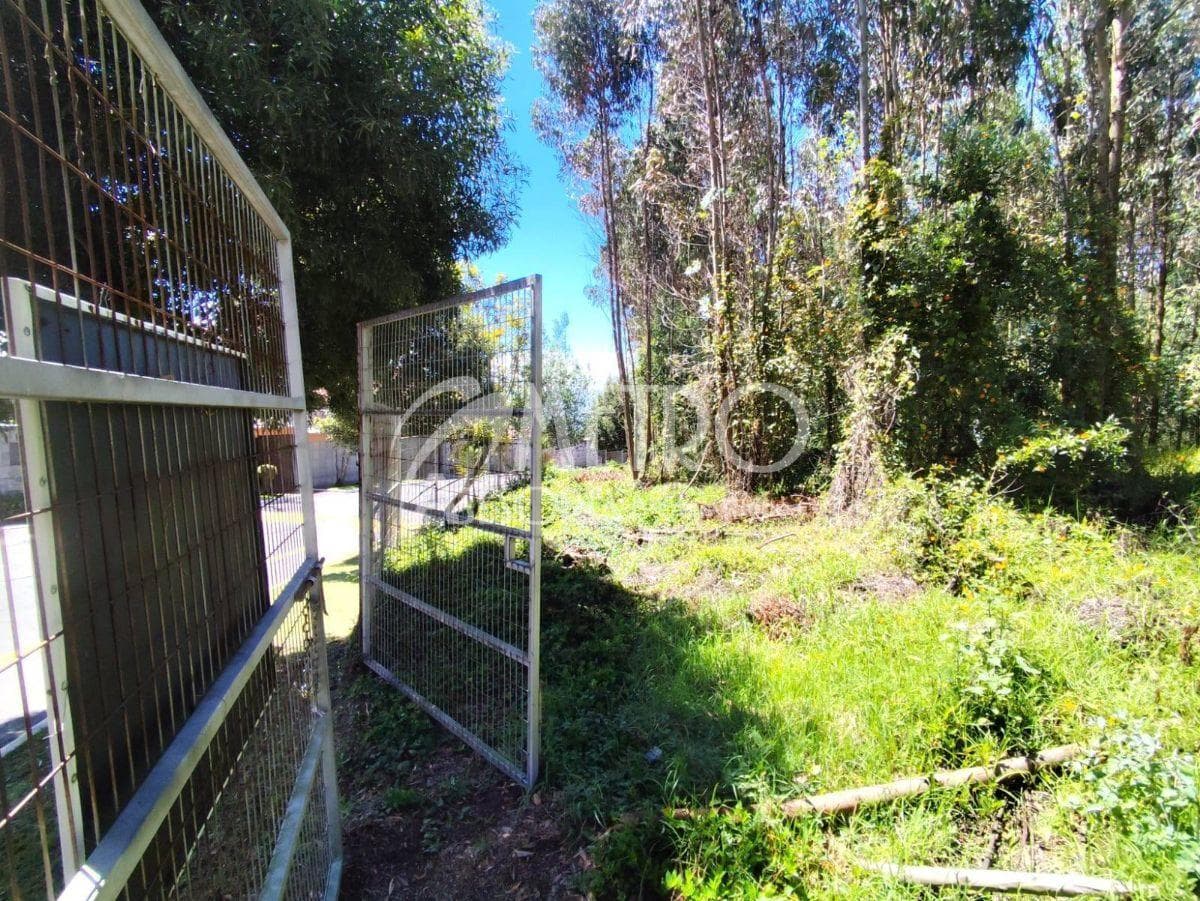 Terreno de 3.173 m² en Venta Dentro de La Urbanización Campo Alegre — imagen 4