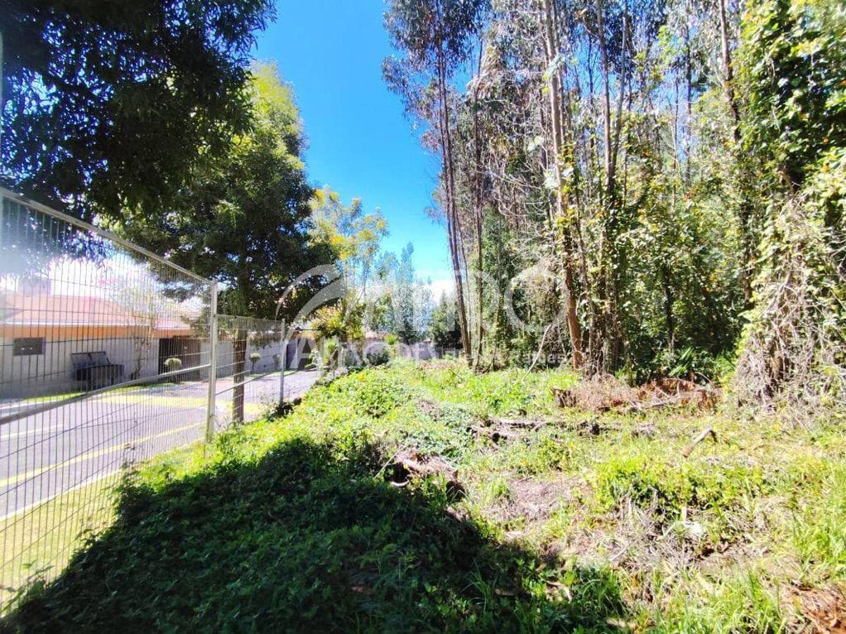 Terreno de 3.173 m² en Venta Dentro de La Urbanización Campo Alegre — imagen 3