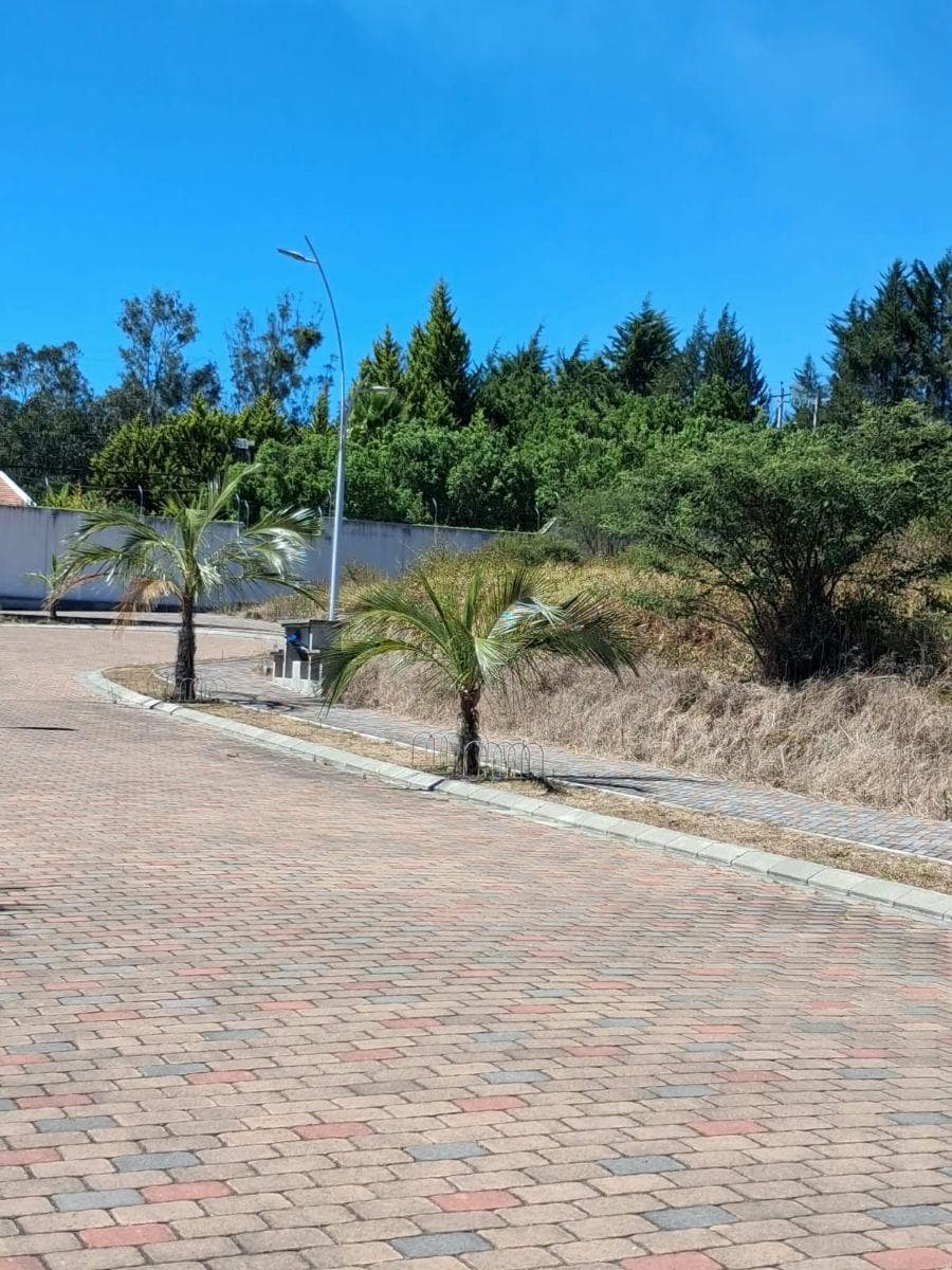 Hermosos Lotes de Venta, Urbanizacion Cerrada — imagen 4