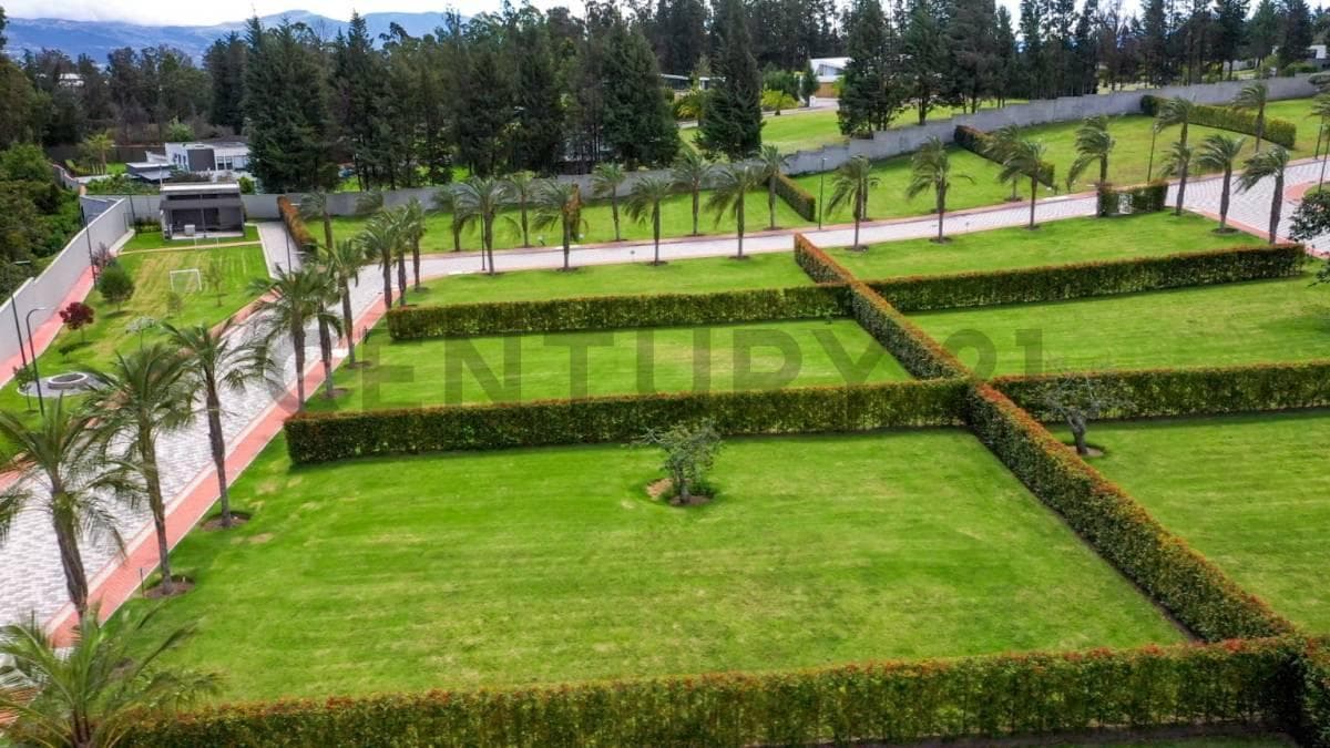 Terreno 545 m² Dentro de Urbanización. Sector Puembo — imagen 9