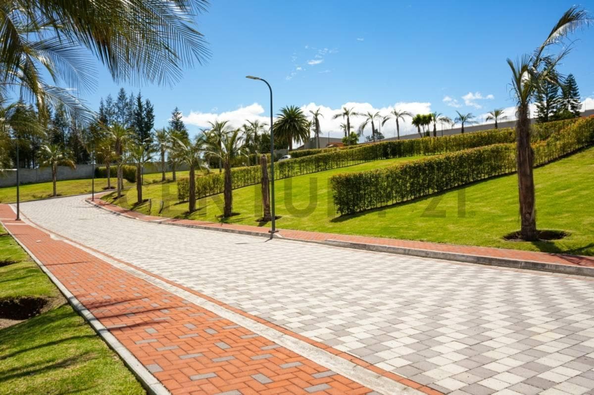 Terreno 545 m² Dentro de Urbanización. Sector Puembo — imagen 8