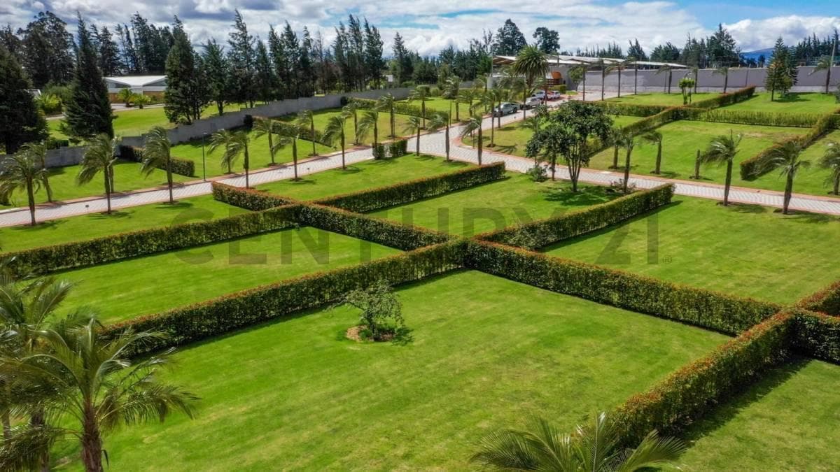 Terreno 545 m² Dentro de Urbanización. Sector Puembo — imagen 5